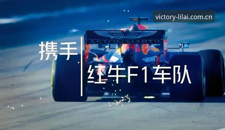 揭秘利来体育平台官网登录背后的实战操作指南
